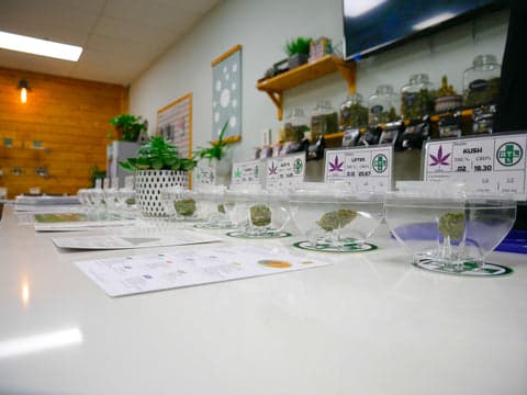 A Local Cannabis Retail Chain, Rapidly Expanding Throughout the Atlanta Market View 1