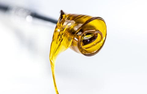 CBD Concentrates 