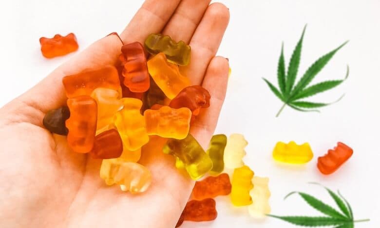 CBD Gummies in a Hand View 2