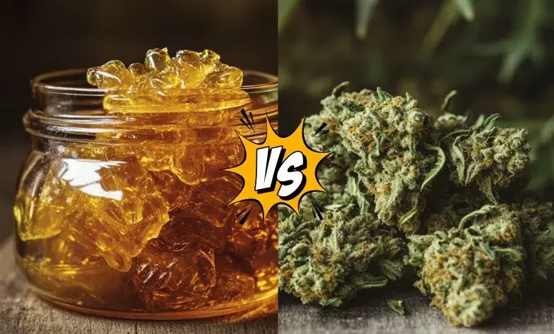 Cured-Resin-Vs-Live-Resin