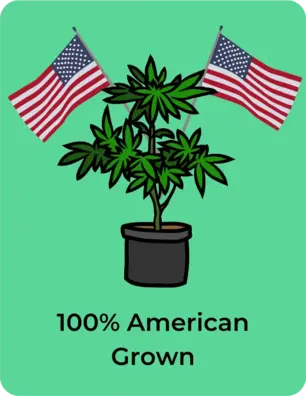 100% American Grown