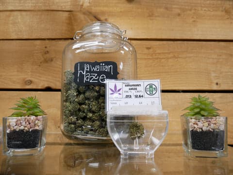 ATLRx Hawaiian Haze Strain Hemp Flower in a Jar