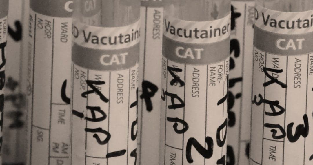 Drug Tests and Delta 8 THC