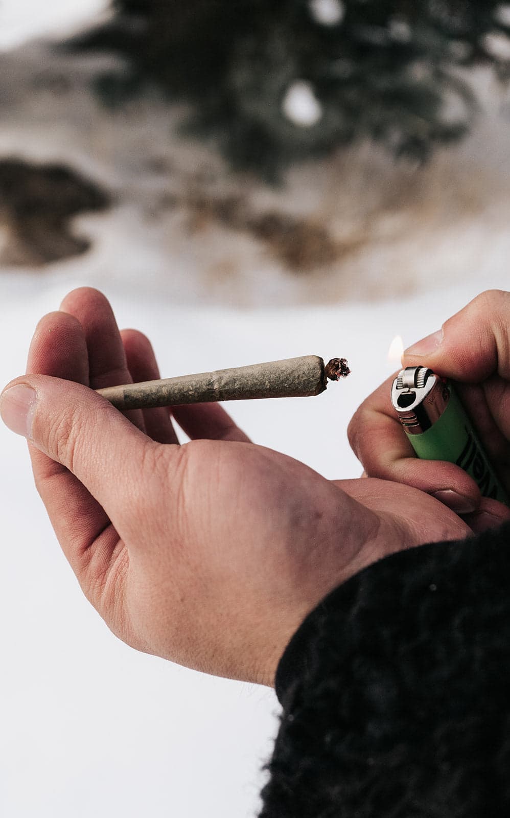 ATLRx Snow Mountain Joint Spark