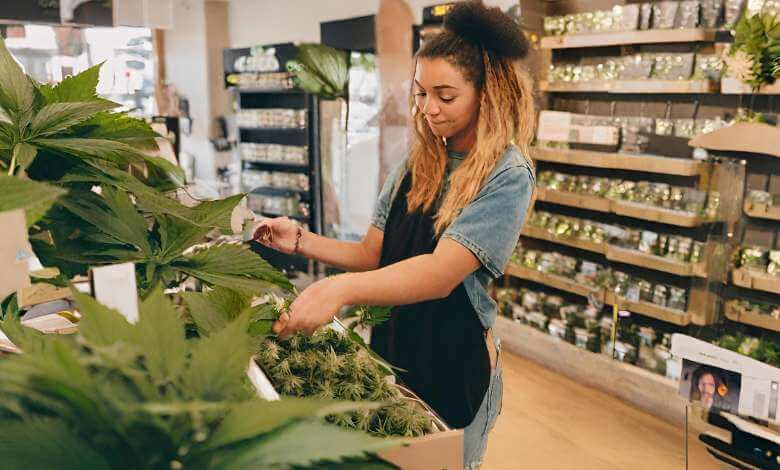 A Lady Buy Hemp Flower