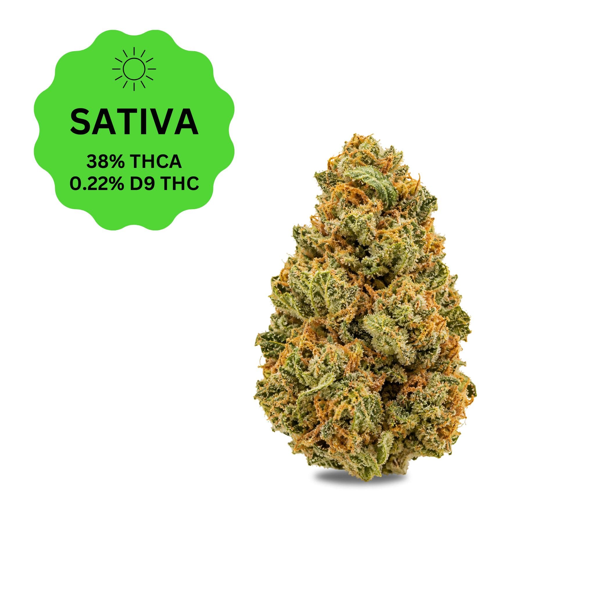 Banjo THCa Flower