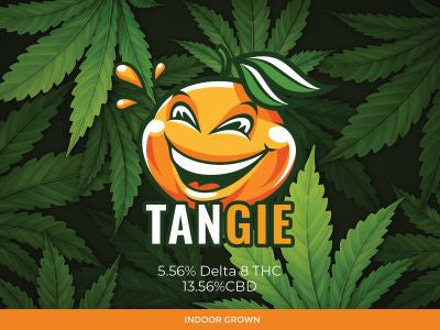 Tangie: Bringing Back Tangerine Dreams