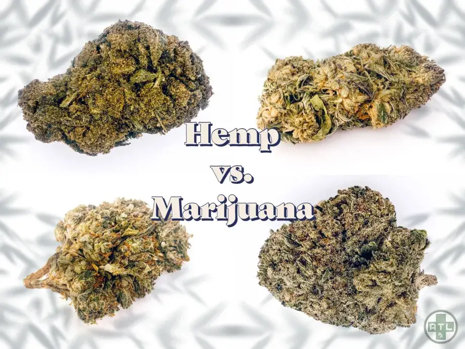 ATLRx Hemp vs.Marijuana