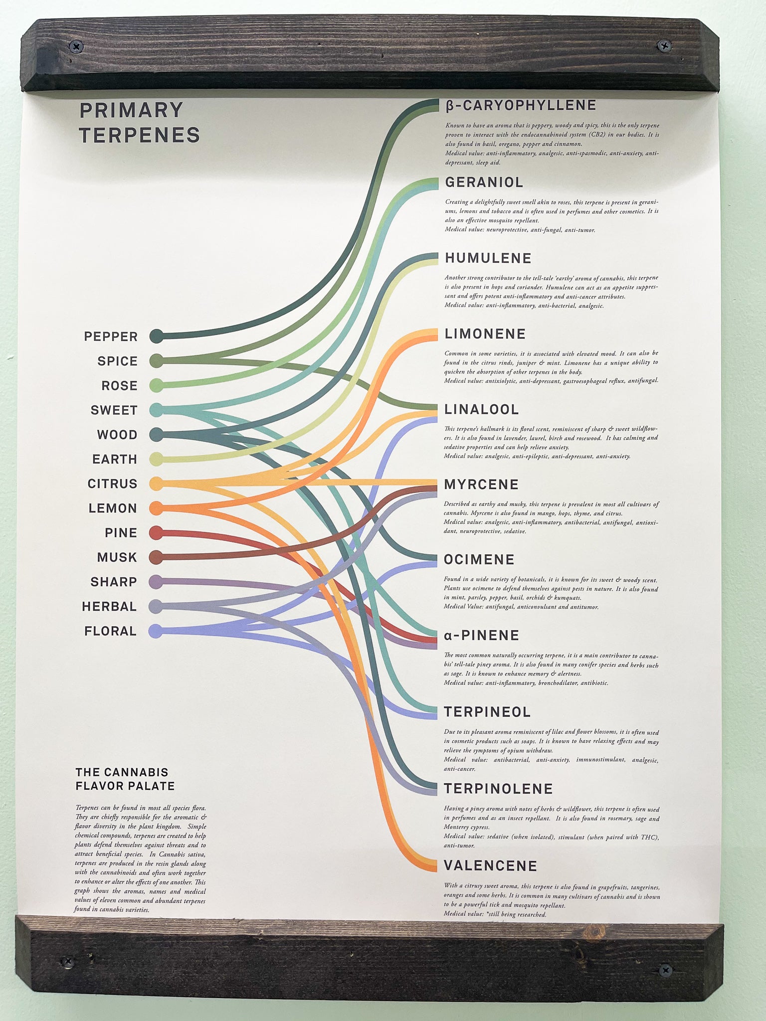 All About Terpenes