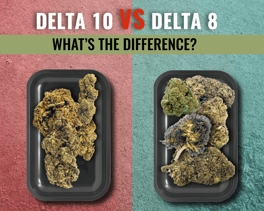 Delta 10 Vs Delta 8: What’s the Difference?