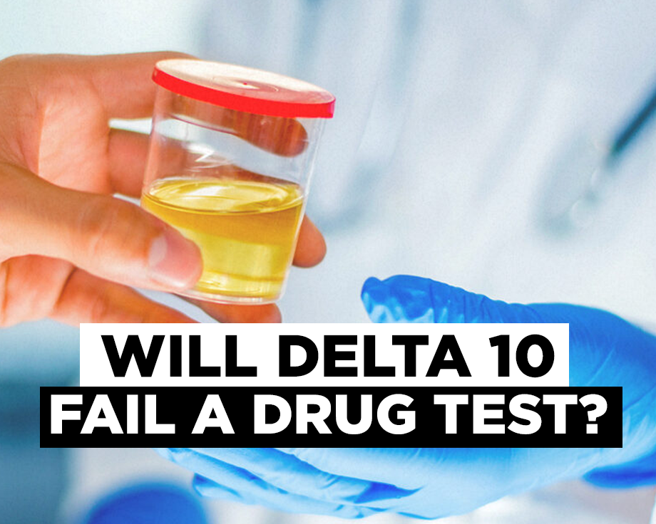 Will Delta 10 Make Me Fail A Drug Test?