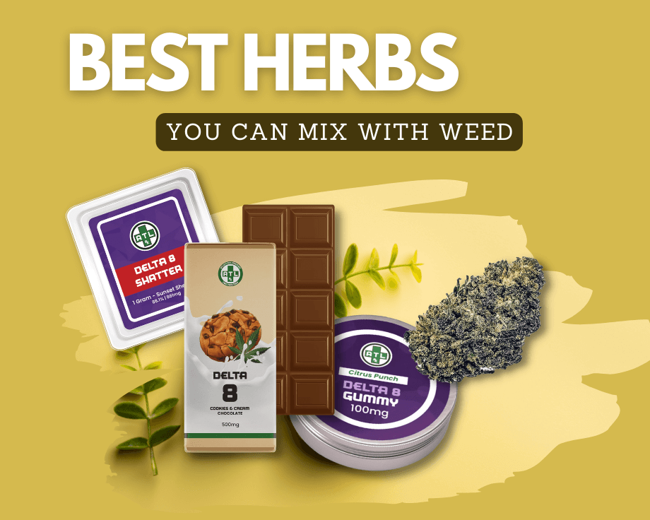 Best Herbs You Can Mix with Weed