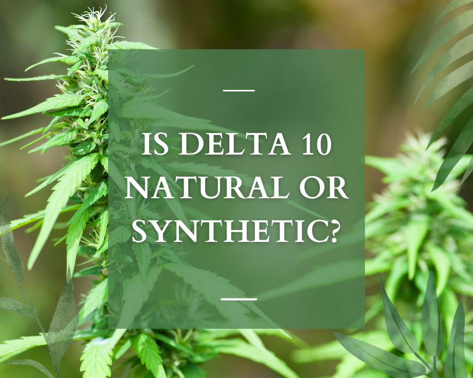 Is Delta 10 Natural or Synthetic?