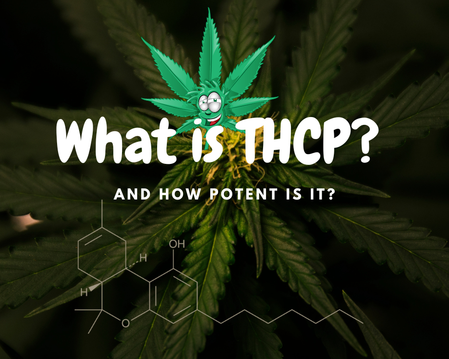 What is THCp? And How Potent is it?