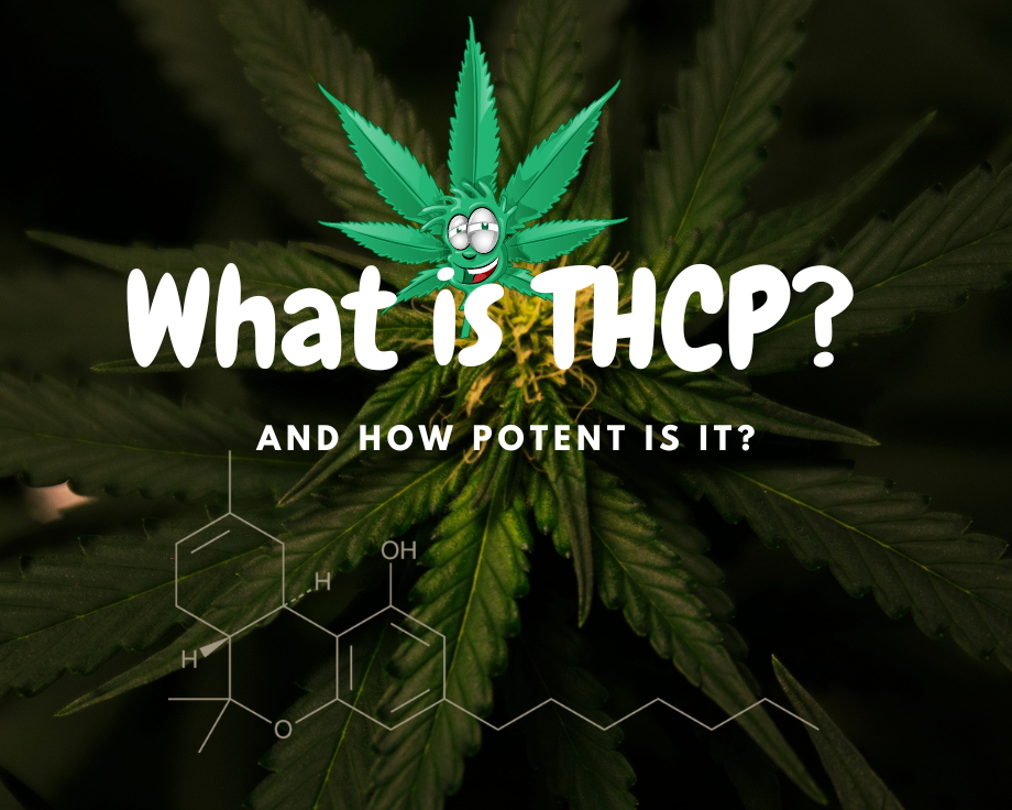 What is THCp?