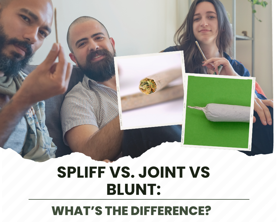 Spliff Vs. Joint Vs Blunt: What’s the Difference?