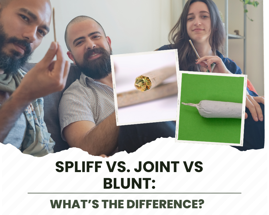 Spliff Vs. Joint Vs Blunt - What’s the Difference