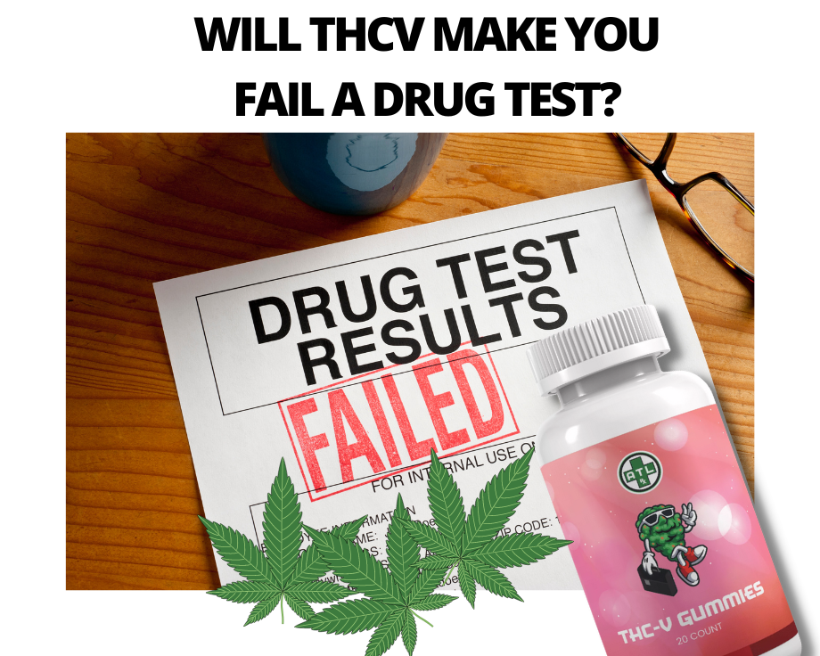 Will THCv Make You Fail a Drug Test?