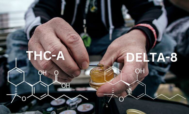 THCA vs Delta 8: What’s the Difference?
