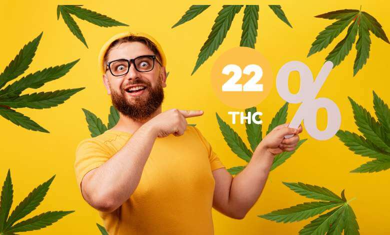 Does THC Percentage Matter