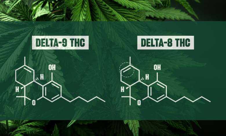 THCa vs Delta 9: What Are The Differences?