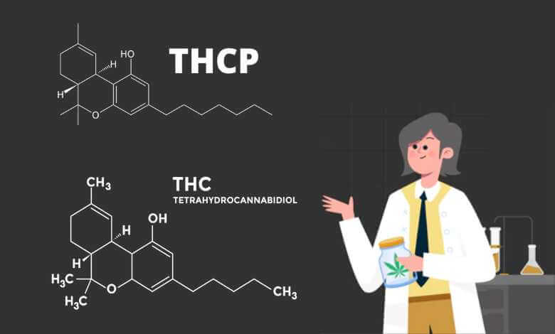THCP vs THC: What’s The Difference