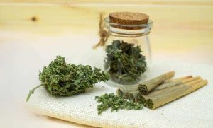 How Long Are Pre-Rolls Good For?