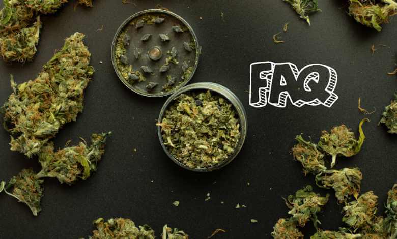 FAQs About THCA Flower