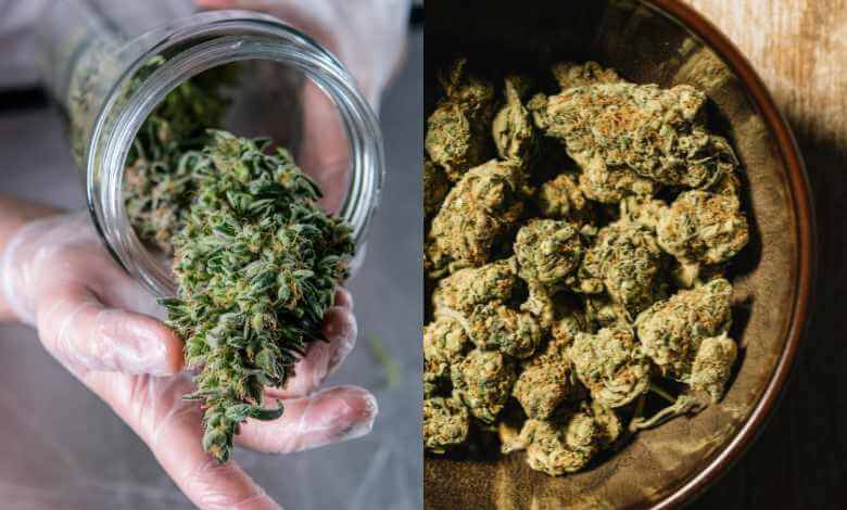 THCA Flower vs. THC Flower: Understanding the Difference