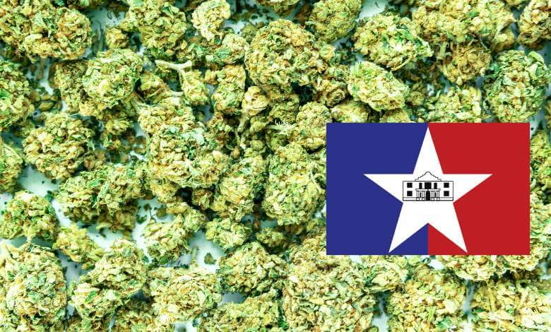 Where to Buy THCa Flower in San Antonio, Texas