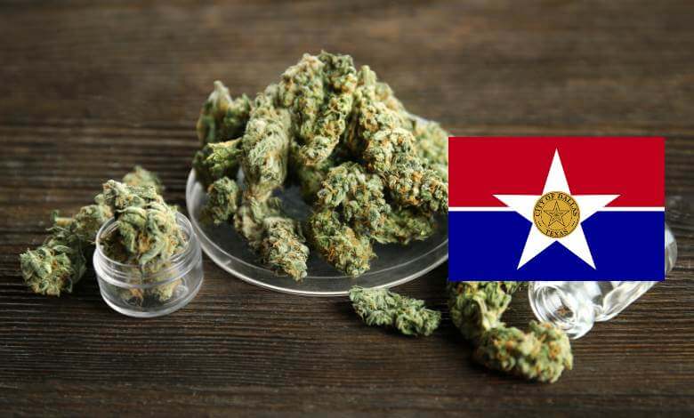 Where to Buy THCa Flower in Dallas, Texas