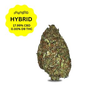 ATLRx Lemon Runtz Strain CBD Flower