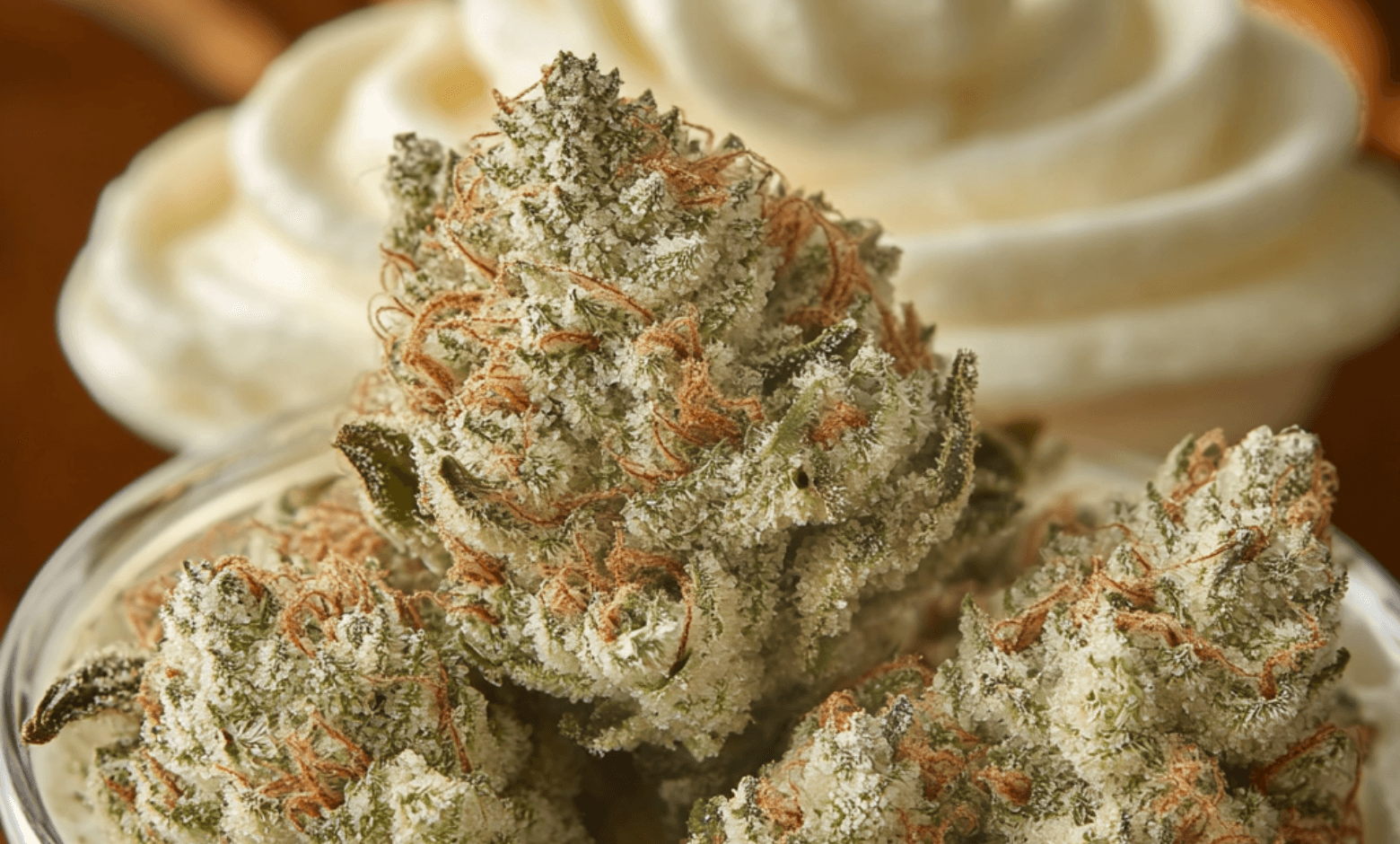 Vanilla Cream Strain: A Sweet, Smooth Journey