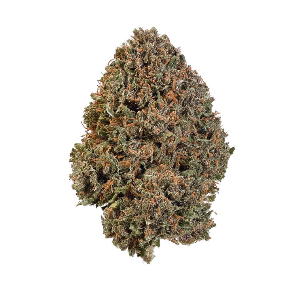 PinkPanther D8 -- Lab Results