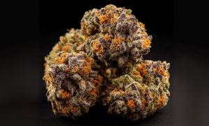 Bomb Pop Strain: What You Need To Know