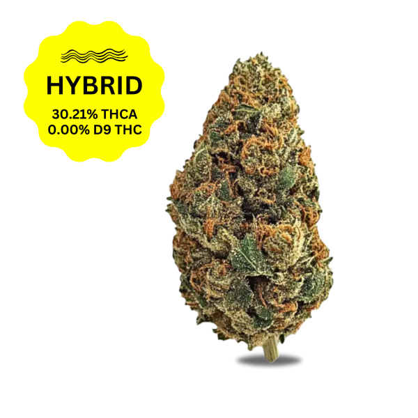 SherbangerTHCa Flower