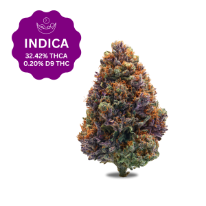 Gov Oasis THCa Flower