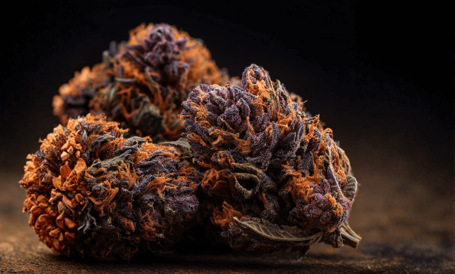Purple Haze Strain: What You Need to Know