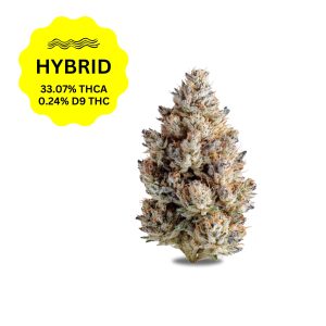 Rainbow Runtz THCa Flower