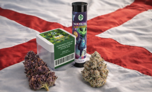 Is THCA Legal in Alabama? - 2026 State Law Explained