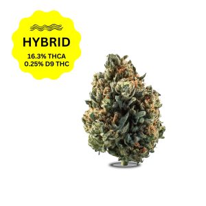 Gelonade THCa Flower (Small)