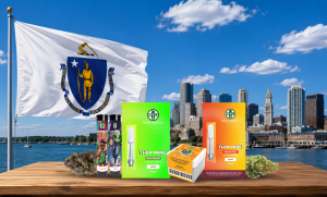 Is THCA Legal in Massachusetts? 2026 Law Updates & Guide