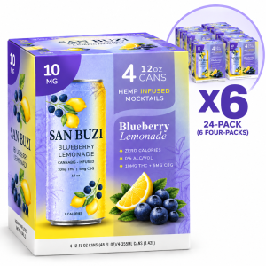 San Buzi Blueberry Lemonade - 1 Case